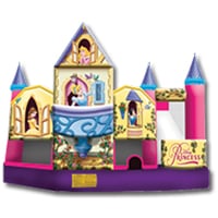 Disney Princess Collection 3D 5-In-One